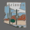 Arizona Shape Lapel Pin