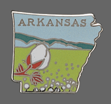 Arkansas Shape Lapel Pin