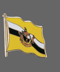 Brunei Lapel Pin
