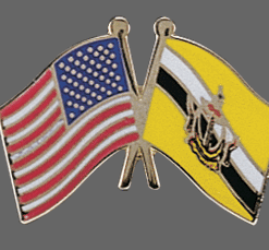 Brunei Friendship Pins
