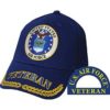 US Air Force Veteran Hat