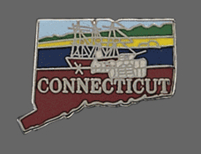 Connecticut Shape Lapel Pin