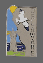 Delaware Shape Lapel Pin