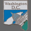 District of Columbia Shape Lapel Pin