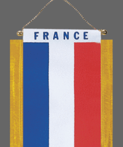 France Mini Banner