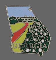 Georgia Shape Lapel Pin