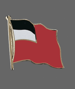Georgia Rep. Lapel Pin