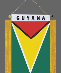 Guyana Mini Banner