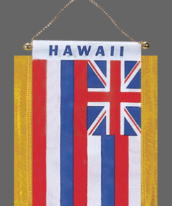 Hawaii Mini Banner