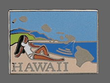 Hawaii Shape Lapel Pin