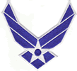 2"x3.5" Air Force Logo Rectangle Patch
