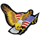 2"x3.5" Eagle Rectangle Patch