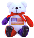8" USA Honor Bear