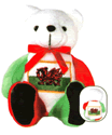 8" Wales Honor Bear
