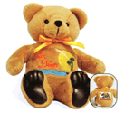 8" San Diego Honor Bear