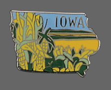 Iowa Shape Lapel Pin