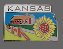 Kansas Shape Lapel Pin