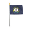 4 in. X 6 in. Kentucky Mounted on a 10 in. Black Staff with Gold Spear tip