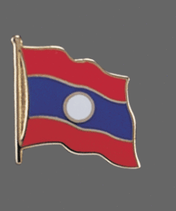 International flag lapel pins