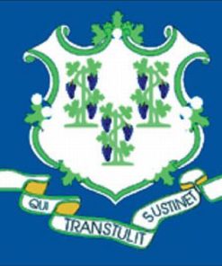 Connecticut 4'x6' Ply-2 Flag