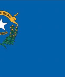 Nevada 5'x8' Poly-II Flag