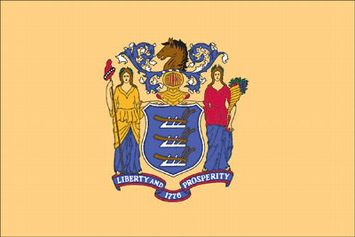 New Jersey 3’x5′ Ply-2 Flag