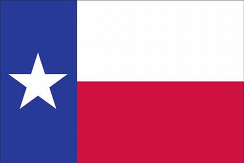 Texas 4'x6' Ply-2 Flag