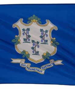 Connecticut 3'x5' Nylon Flag