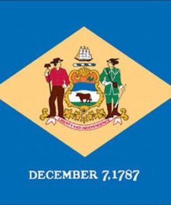 Delaware 8'x12' Applique Nylon Flag