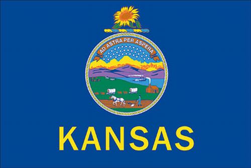 Kansas 8'x12' Applique Nylon Flag