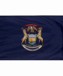 Michigan 2'x3' Nylon Flag