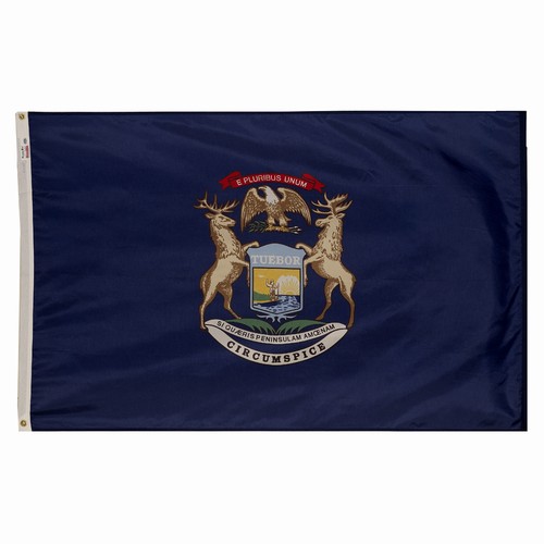 Michigan 5'x8' Nylon Flag