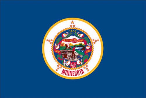 Minnesota 8'x12' Applique Nylon Flag