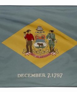 Delaware 3'x5' Printed Flag