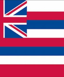 Hawaii 4"x6" Stick Flag