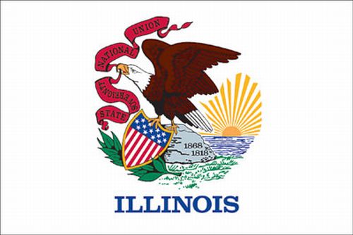 Illinois 4"x6" Stick Flag