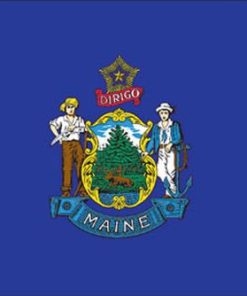 Maine 4"x6" Stick Flag
