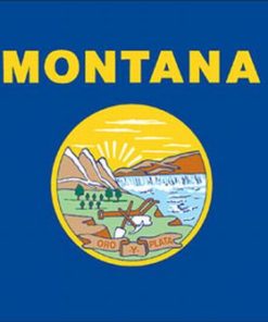 Montana 4"x6" Stick Flag