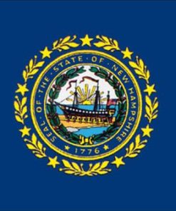 New Hampshire 4"x6" Stick Flag