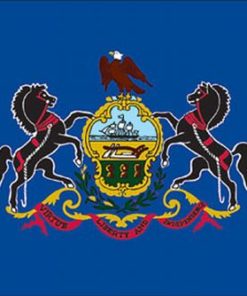 Pennsylvania 4"x6" Stick Flag