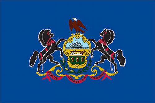 Pennsylvania 4"x6" Stick Flag