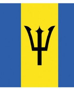 Barbados 3'x5' Nylon Flag