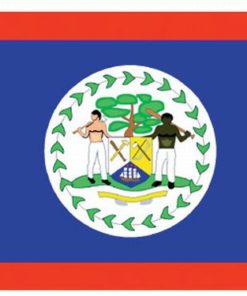 Belize 5'x8' Nylon Flag