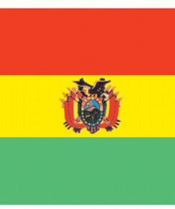 Bolivia Govt 4'x6' Nylon Flag