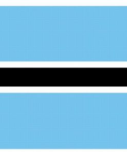 Botswana 2'x3' Nylon Flag