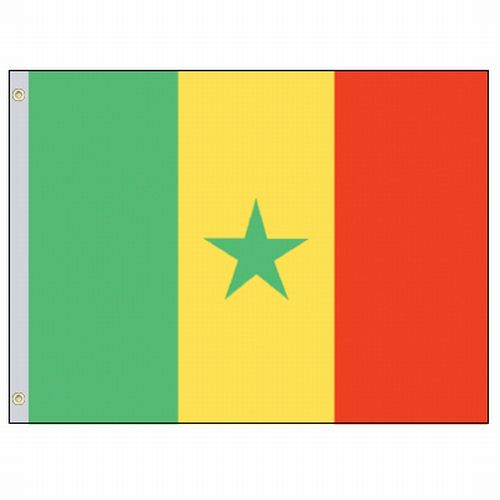 Cameroon 3'x5' Nylon Flag