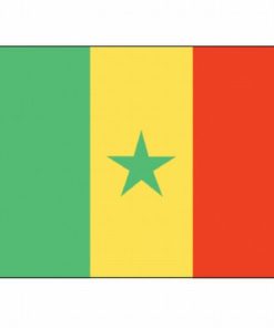Cameroon 4'x6' Nylon Flag