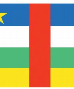 Central African Republic 2'x3' Nylon Flag