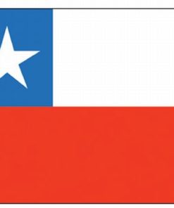 Chile 5'x8' Nylon Flag