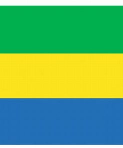 Gabon 5'x8' Nylon Flag